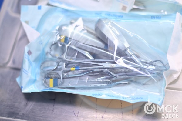 "Заводишь инструмент под десну, а выходит в районе глаза". Почему важно следить за состоянием зубов питомцев