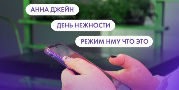 Анна Джейн и НМУ. Что ищут омичи в интернете 3 февраля