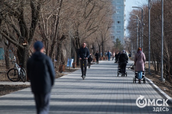 В мэрии прокомментировали появление самокатов в Омске: их станет на 500 штук больше