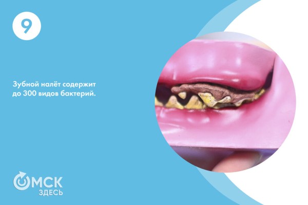 Истории из кабинета стоматологов. Отмечаем День зубного врача