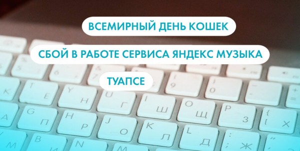 Всемирный день кошек, Туапсе и сбой сервиса "Яндекс.Музыка". Что ищут омичи в интернете 1 марта Всемирный день кошек, Туапсе и сбой сервиса "Яндекс.Музыка". Что ищут омичи в интернете 1 марта