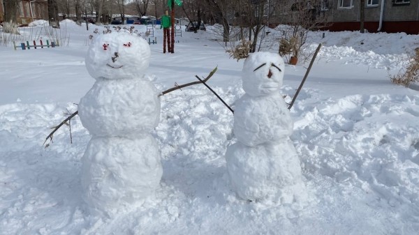Неустойчивое равновесие. В Омске ожидается от -20 градусов мороза до +5 градусов тепла Неустойчивое равновесие. В Омске ожидается от -20 градусов мороза до +5 градусов тепла