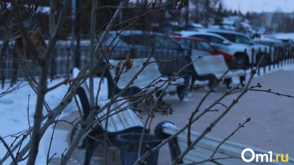 Омичам предложили выбрать, какие территории благоустроить в 2024 году