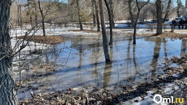 В мэрии прокомментировали появление огромных луж в Омске В мэрии прокомментировали появление огромных луж в Омске