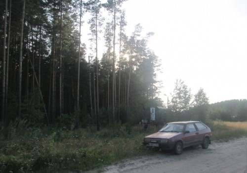 Прокуратура Омской области заподозрила Тарское лесничество в липовых отчетах Прокуратура Омской области заподозрила Тарское лесничество в липовых отчетах
