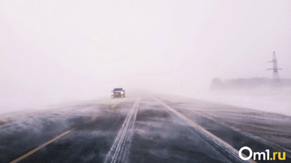 О сильных ветрах и метелях предупредили новосибирцев в МЧС