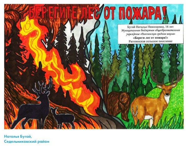 Глазами и словами детей. В омских лесах появятся школьные рисунки в защиту природы