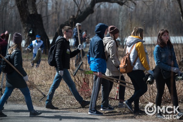Не наступить на те же грабли, или Как правильно провести субботник