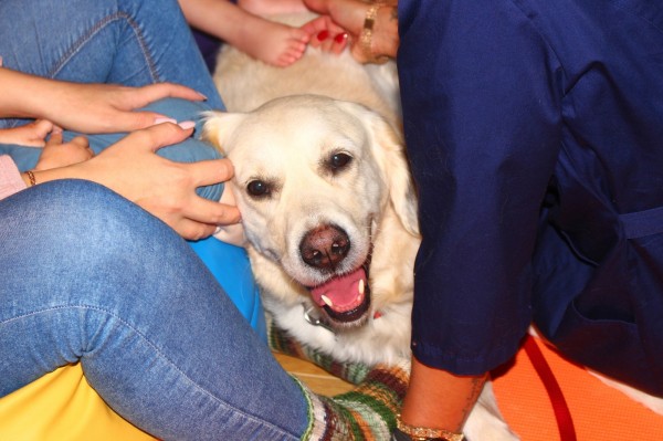 "Это не им нужно научиться жить с нами, это нам нужно учиться жить с ними" - что нужно знать об аутизме "Это не им нужно научиться жить с нами, это нам нужно учиться жить с ними" - что нужно знать об аутизме