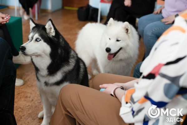 Омских родителей познакомили с альтернативной реабилитацией детей с инвалидностью