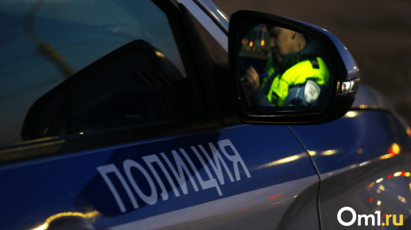 В Новосибирской области закладчики использовали для маскировки коляску с ребенком