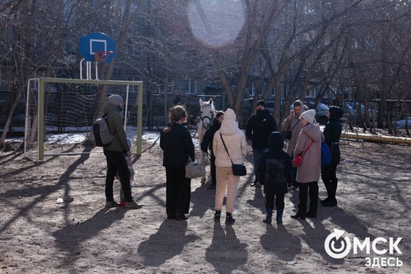 Омских родителей познакомили с альтернативной реабилитацией детей с инвалидностью