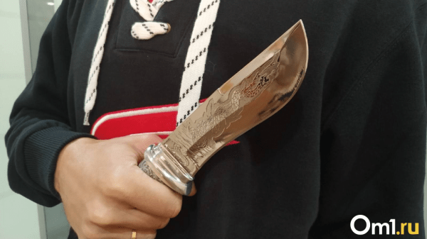 В Новосибирске задержали напавшего на ребёнка с ножом мужчину В Новосибирске задержали напавшего на ребёнка с ножом мужчину