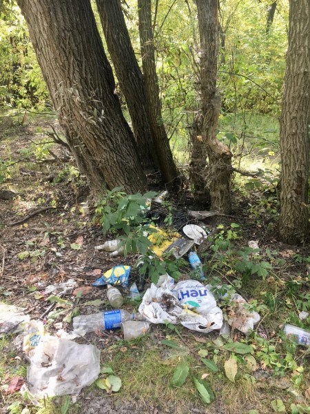 Забег со смыслом – в Омске бегуны очистят от мусора один из парков