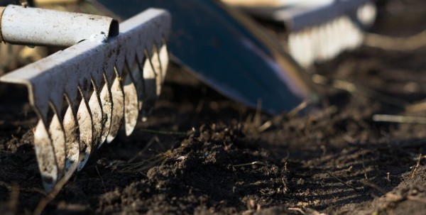 Не наступить на те же грабли, или Как правильно провести субботник