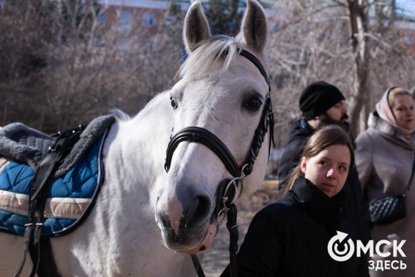 Омских родителей познакомили с альтернативной реабилитацией детей с инвалидностью