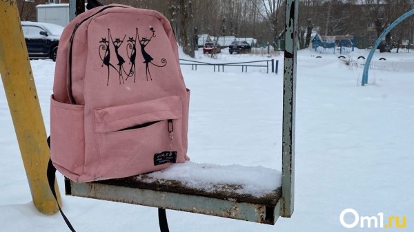 В Омске школьница попала в больницу из-за жёсткой шутки одноклассника