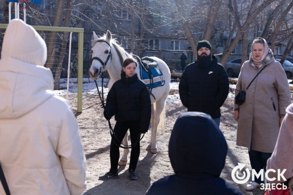 Омских родителей познакомили с альтернативной реабилитацией детей с инвалидностью
