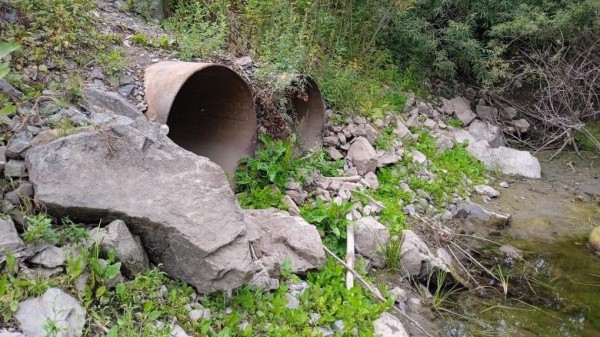 Природоохранная прокуратура требует сноса самовольно возведённой дамбы на остров Высокий в Новосибирске