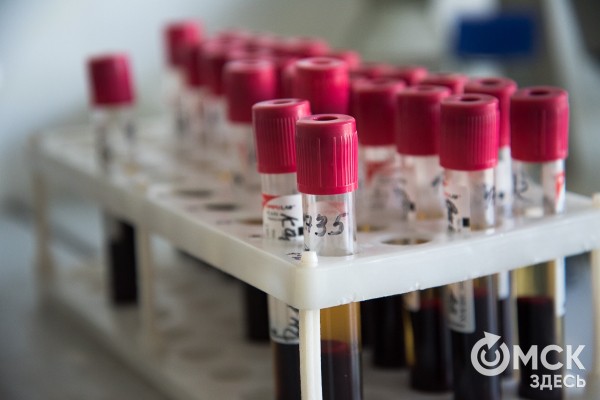 "Я благодарен этому человеку, но посмотреть в глаза его жене или детям я бы физически не смог". История мужчины с пересаженной почкой "Я благодарен этому человеку, но посмотреть в глаза его жене или детям я бы физически не смог". История мужчины с пересаженной почкой