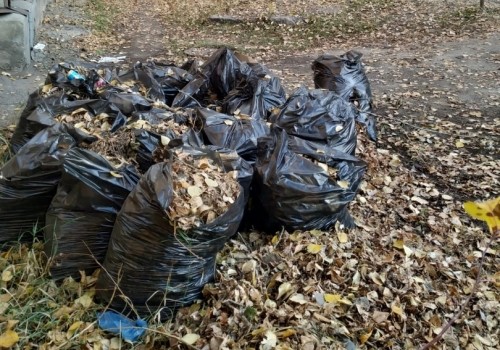 Субботник все ближе, работы все больше: как Омск готовится к весне Субботник все ближе, работы все больше: как Омск готовится к весне