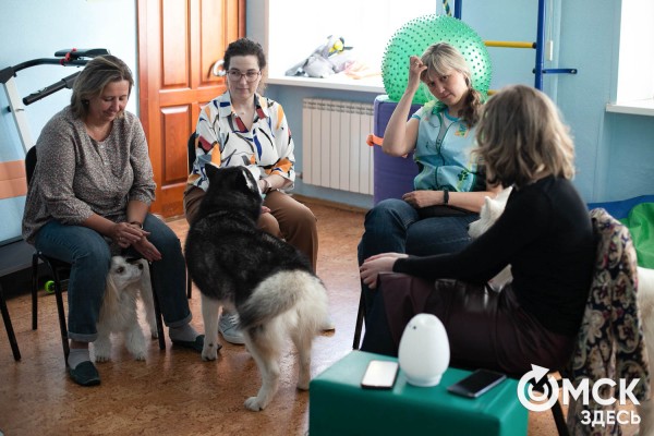 Омских родителей познакомили с альтернативной реабилитацией детей с инвалидностью