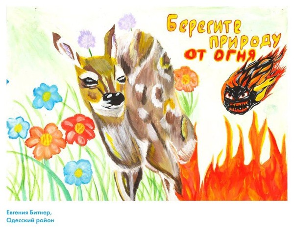 Глазами и словами детей. В омских лесах появятся школьные рисунки в защиту природы