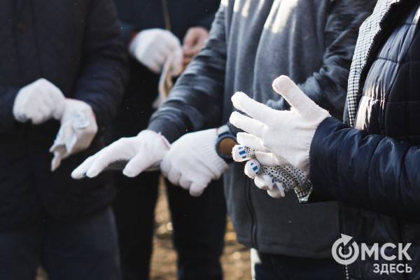 Не наступить на те же грабли, или Как правильно провести субботник