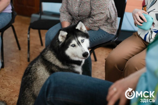Омских родителей познакомили с альтернативной реабилитацией детей с инвалидностью