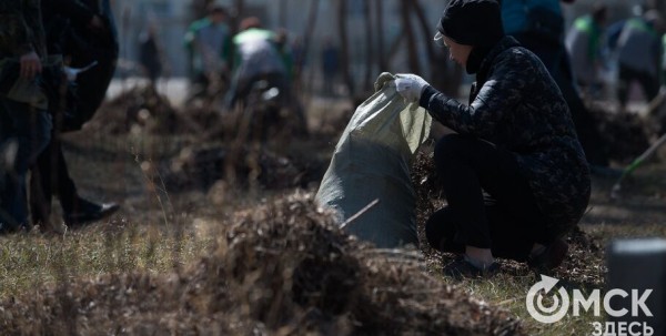 Уборку омских парков превратят в игру