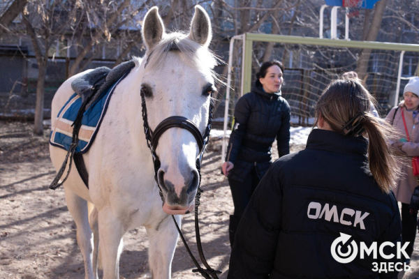 Омских родителей познакомили с альтернативной реабилитацией детей с инвалидностью