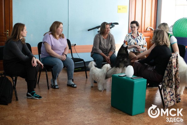 Омских родителей познакомили с альтернативной реабилитацией детей с инвалидностью