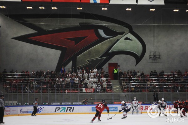 "Омские Ястребы" отразили напор "Чайки" зеркальным счётом "Омские Ястребы" отразили напор "Чайки" зеркальным счётом