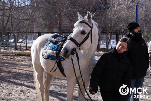 Омских родителей познакомили с альтернативной реабилитацией детей с инвалидностью