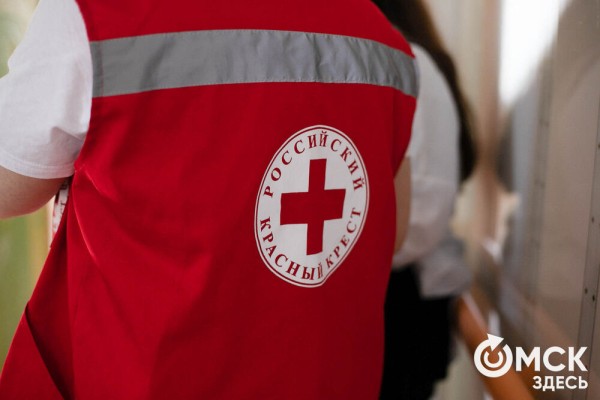 Омских родителей познакомили с альтернативной реабилитацией детей с инвалидностью