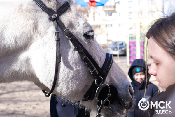 Омских родителей познакомили с альтернативной реабилитацией детей с инвалидностью