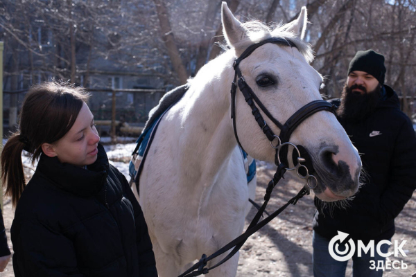 Омских родителей познакомили с альтернативной реабилитацией детей с инвалидностью