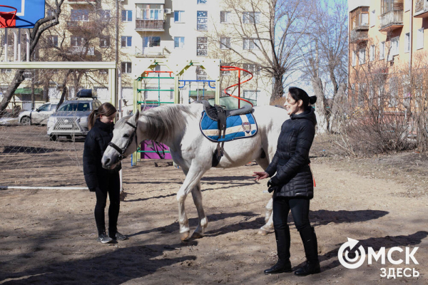 Омских родителей познакомили с альтернативной реабилитацией детей с инвалидностью