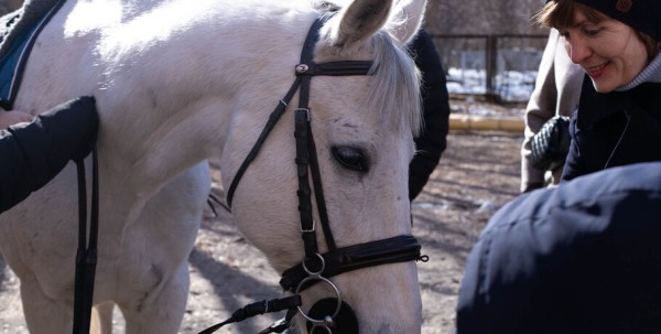 Омских родителей познакомили с альтернативной реабилитацией детей с инвалидностью