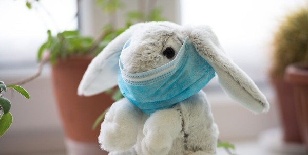 День здоровья. Топ-5 важных для человека тем День здоровья. Топ-5 важных для человека тем