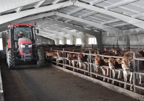 Один из&nbsp;крупнейших производителей сыров в&nbsp;СНГ за&nbsp;2&nbsp;млрд руб. построит под Омском животноводческий комплекс