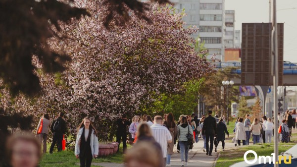 Жара возвращается: синоптики назвали дату, когда в Омске потеплеет до +25