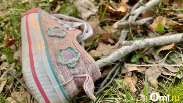 В Омске ищут 9-летнюю девочку, которая вышла из дома и пропала В Омске ищут 9-летнюю девочку, которая вышла из дома и пропала