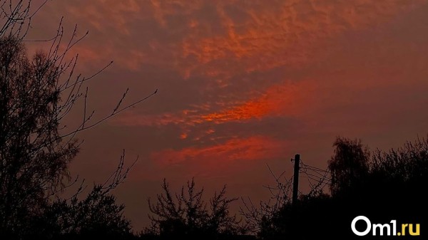 В Омске ожидается опасное явление из-за ветра и сухой погоды