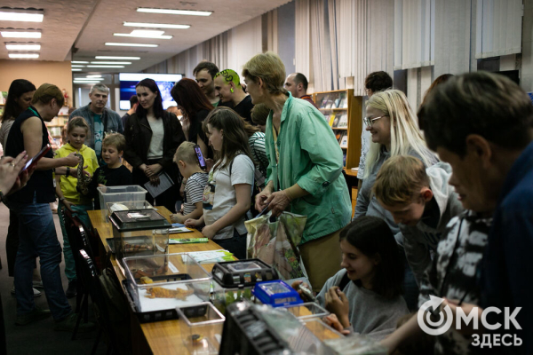 От Луны и Венеры до книг и винила. В Омске прошла "Библионочь"