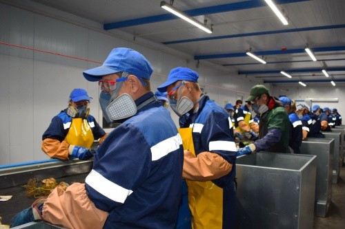 Омская область лидирует в Сибири по темпам реформы ТКО