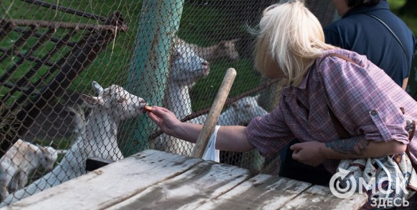 В Большереченском зоопарке случился беби-бум