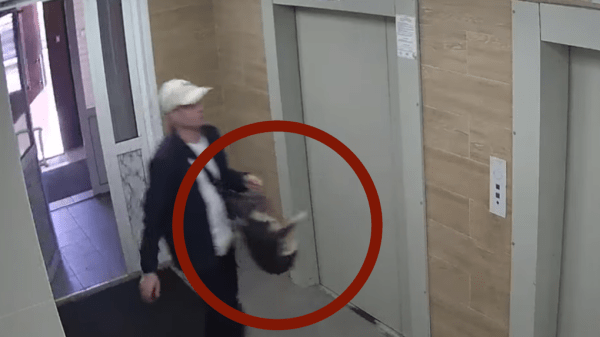 В Новосибирске задержали мужчину, избившего щенка своей возлюбленной