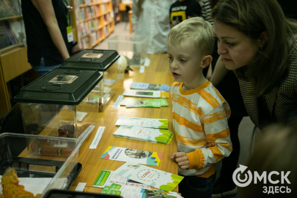 От Луны и Венеры до книг и винила. В Омске прошла "Библионочь"