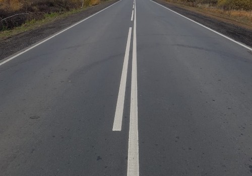 Омских школьников отправили убирать мусор на трассе к приезду Виталия Хоценко